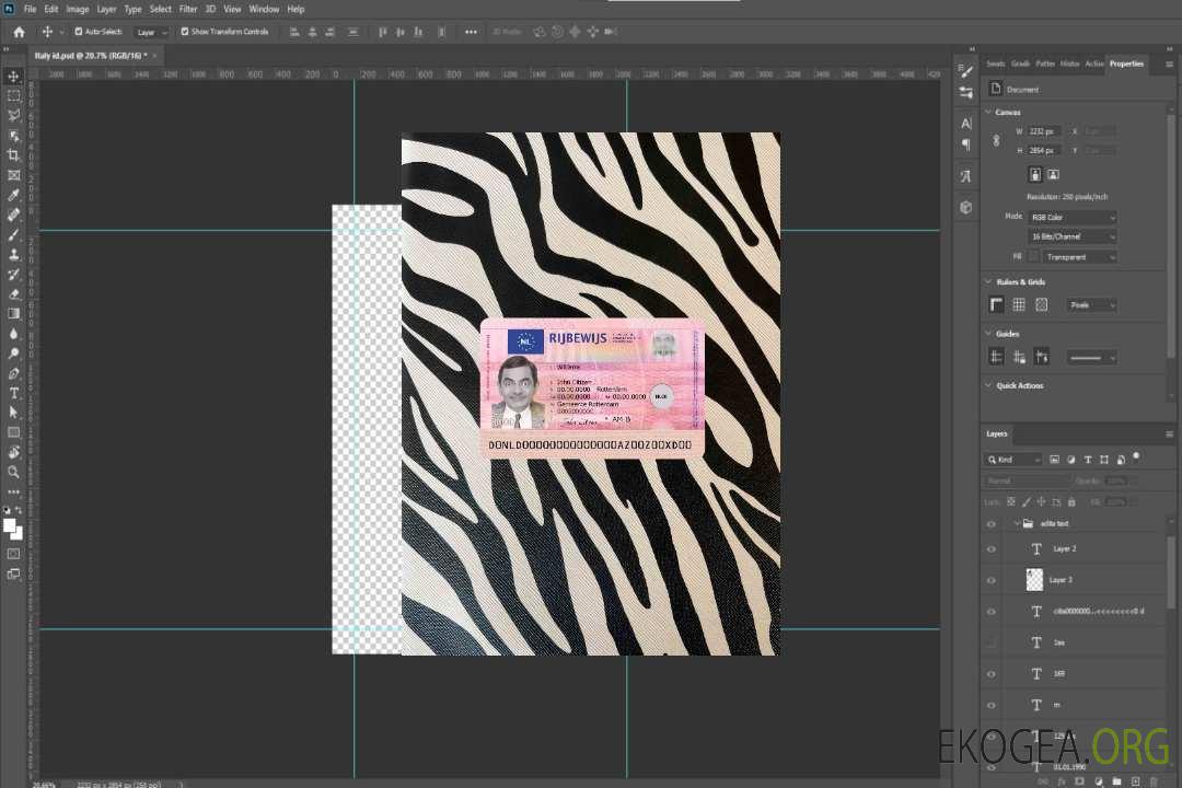 Pays-Bas nouveau permis de conduire photolook AVANT template